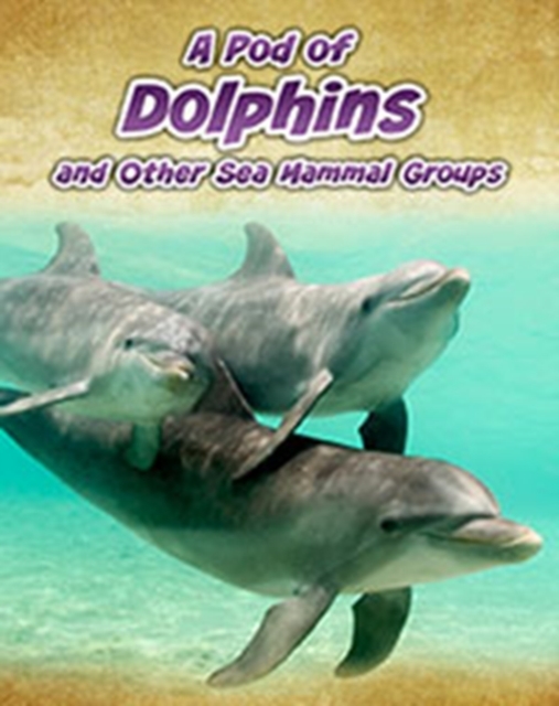 A Pod of Dolphins : and Other Sea Mammal Groups, Paperback / softback Book