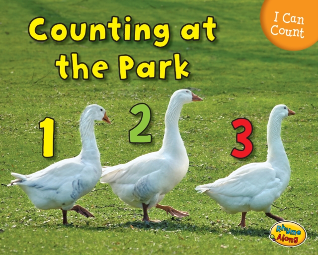Counting at the Park, Paperback / softback Book