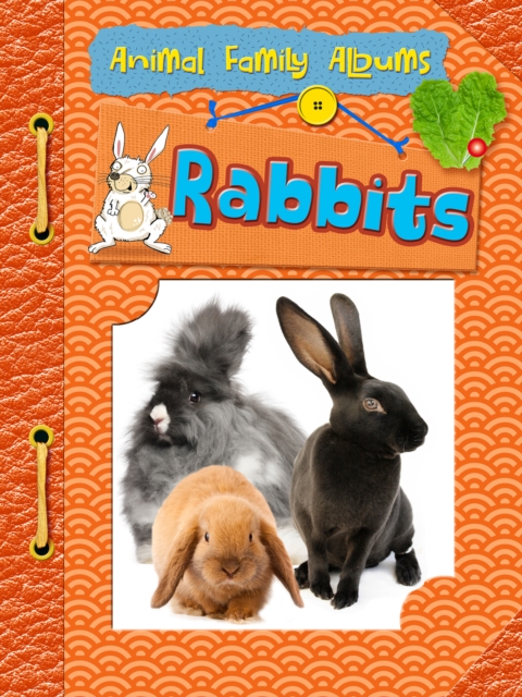 Rabbits, Hardback Book