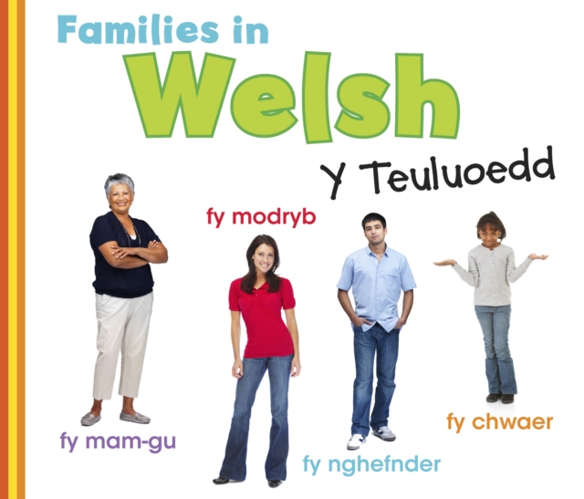 Families in Welsh: Y Teuluoedd, Hardback Book