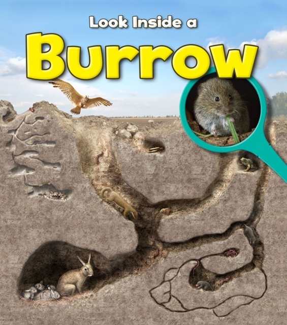 Burrow, Hardback Book