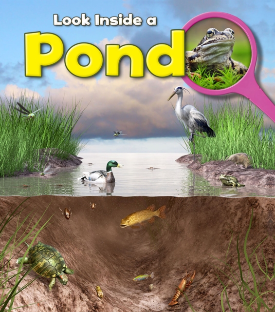 Pond, Paperback / softback Book