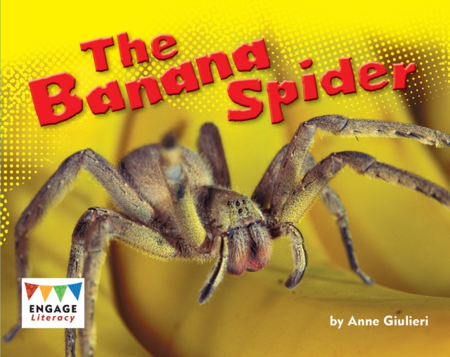 The Banana Spider, Paperback / softback Book