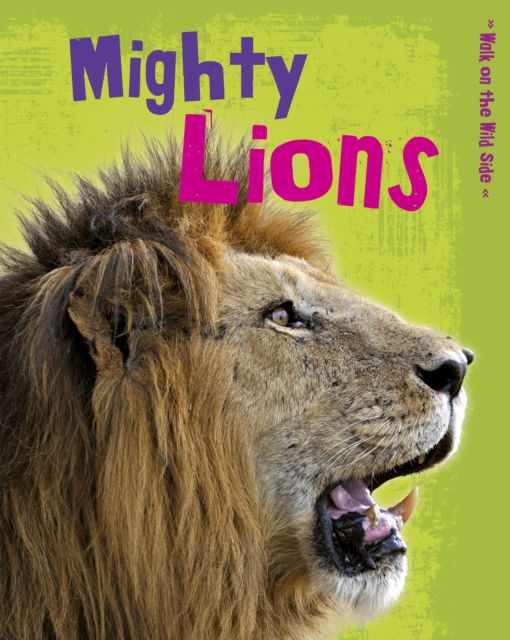 Mighty Lions, Hardback Book