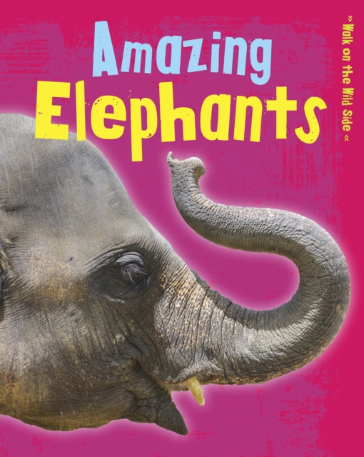 Amazing Elephants, Paperback / softback Book
