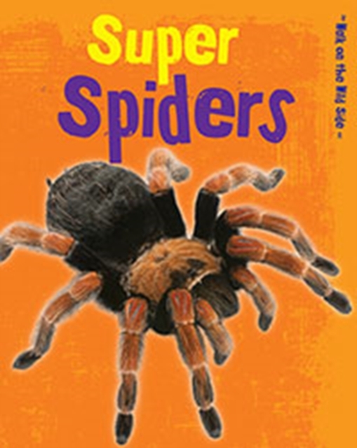 Super Spiders, Paperback Book