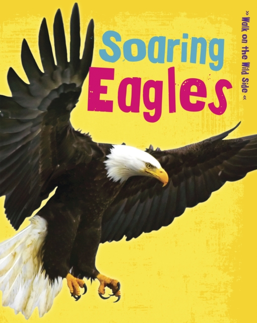 Soaring Eagles, Paperback / softback Book