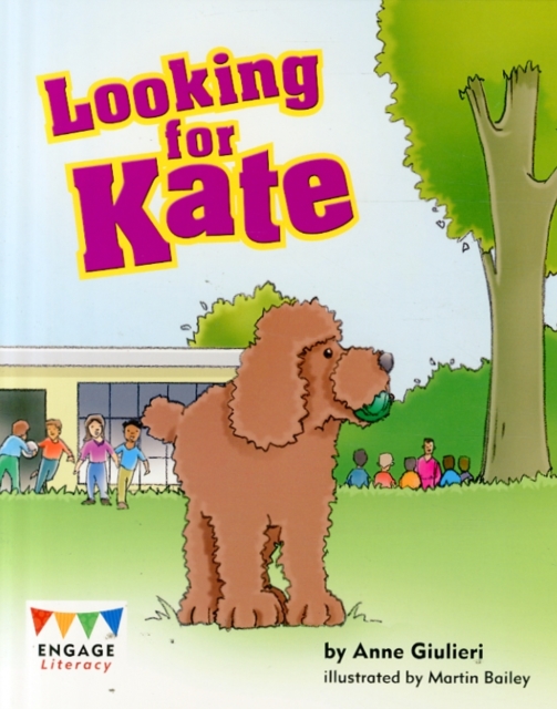 Looking for Kate, Paperback / softback Book