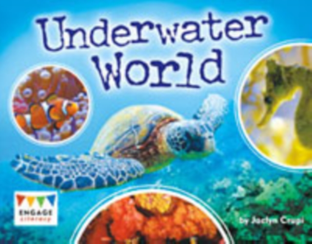 Underwater World, Paperback / softback Book