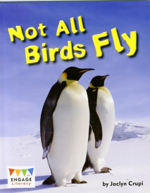 Not All Birds Fly, Paperback / softback Book