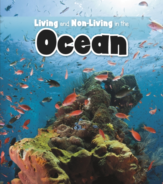 Living and Non-living in the Ocean, Hardback Book