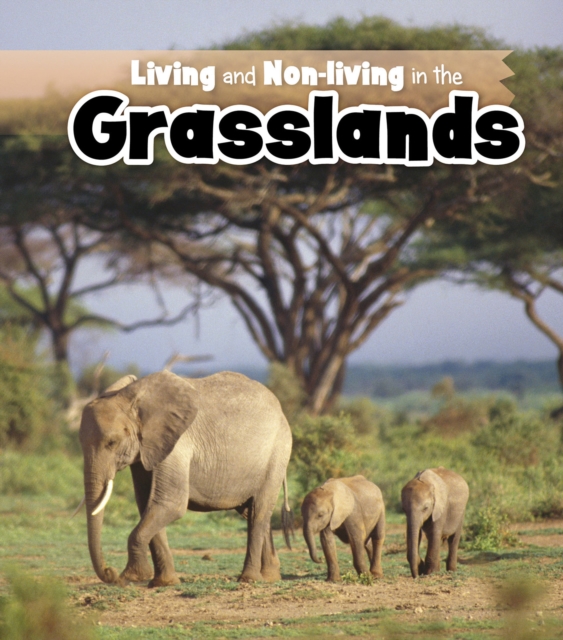 Living and Non-living in the Grasslands, Paperback / softback Book