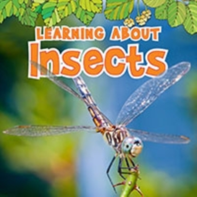 Learning About Insects, Hardback Book