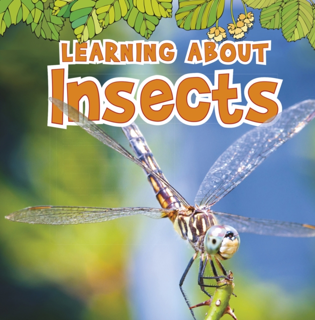Learning About Insects, Paperback / softback Book
