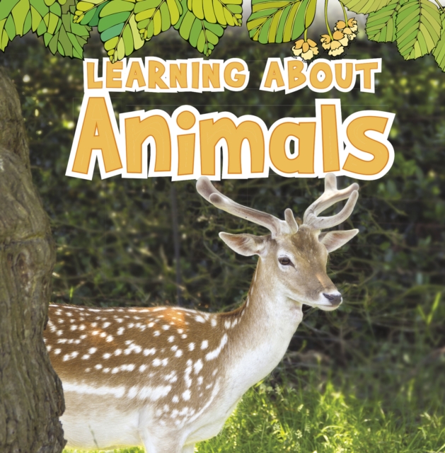 Learning About Animals, Paperback / softback Book
