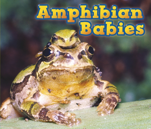 Amphibian Babies, PDF eBook