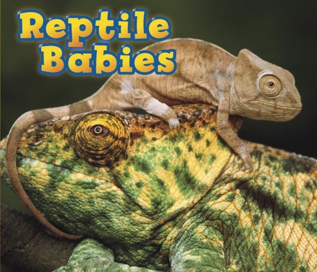 Reptile Babies, PDF eBook