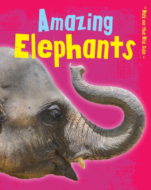 Amazing Elephants, PDF eBook