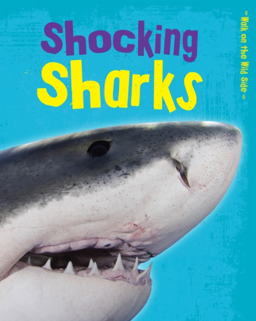 Shocking Sharks, PDF eBook