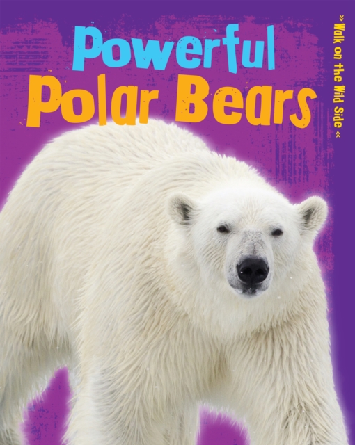 Powerful Polar Bears, PDF eBook