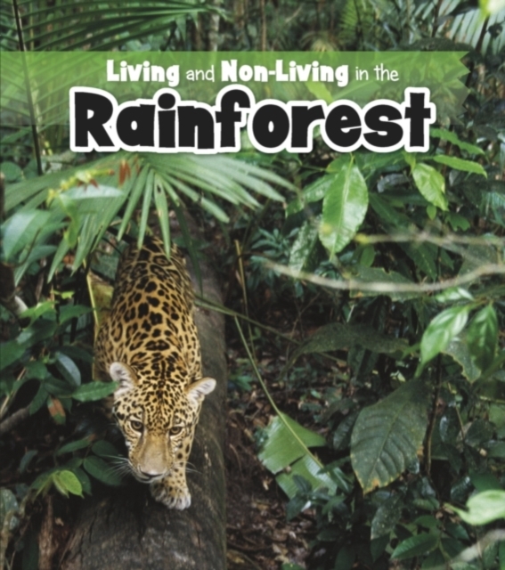 Living and Non-living in the Rainforest, PDF eBook