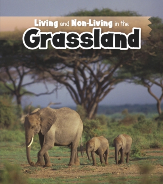 Living and Non-living in the Grasslands, PDF eBook