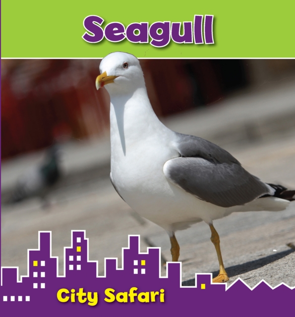 Seagull : City Safari, Hardback Book