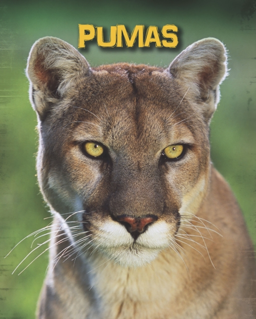 Pumas, Hardback Book