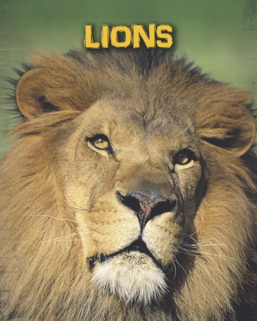Lions, Paperback / softback Book