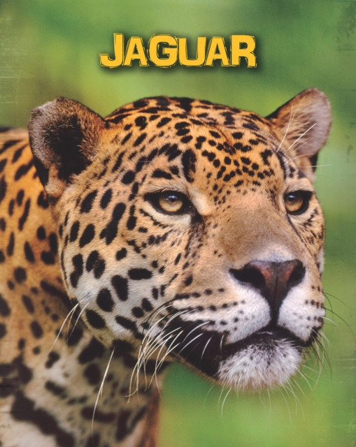 Jaguars, PDF eBook