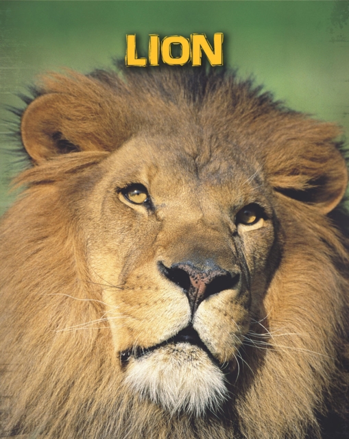 Lions, PDF eBook