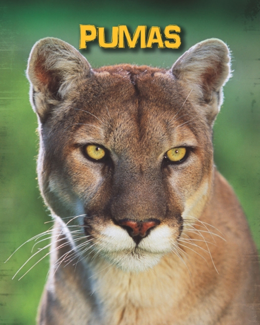 Pumas, PDF eBook
