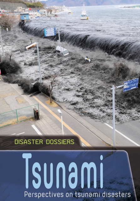 Tsunami : Perspectives on Tsunami Disasters, Hardback Book