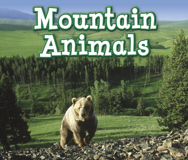 Mountain Animals, Paperback / softback Book