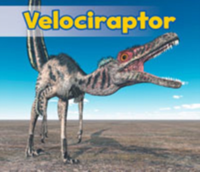 Velociraptor, Paperback / softback Book