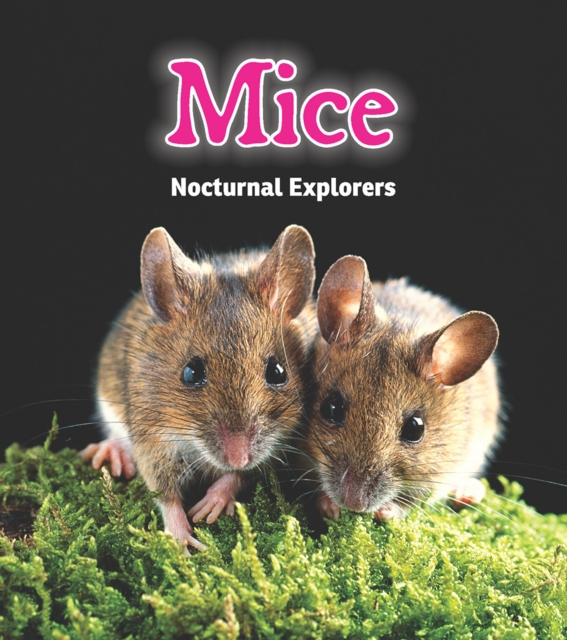 Mice : Nocturnal Explorers, Hardback Book