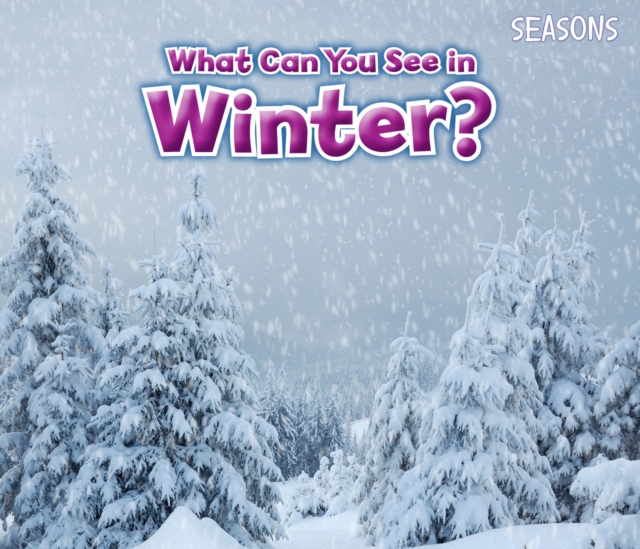What Can You See In Winter?, Paperback / softback Book