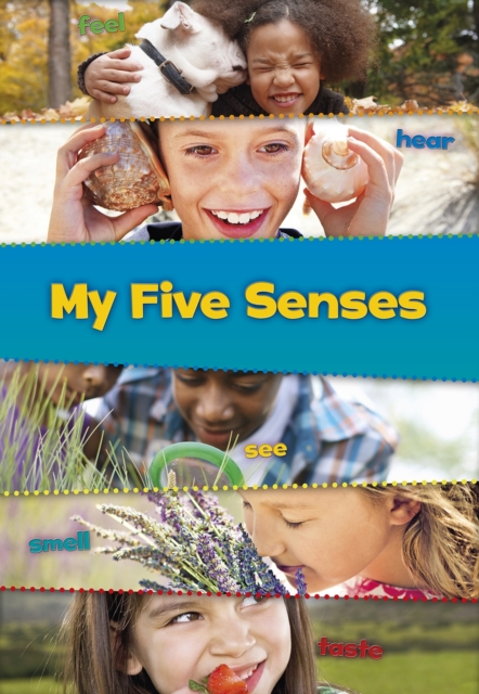 My Five Senses, Big book Book