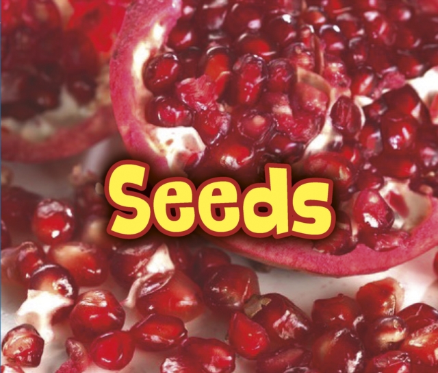 All About Seeds, PDF eBook