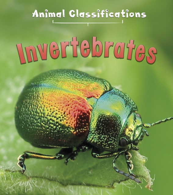 Invertebrates, Paperback / softback Book