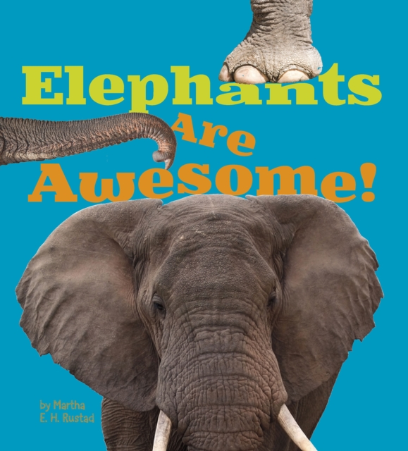 Elephants Are Awesome!, Hardback Book