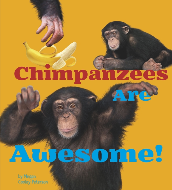Chimpanzees Are Awesome!, Paperback / softback Book