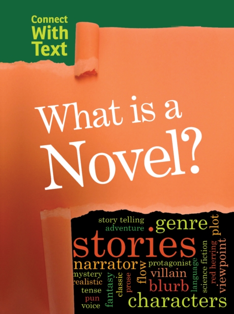 What is a Novel?, Paperback / softback Book