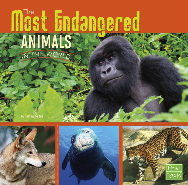 The Most Endangered Animals in the World, Hardback Book