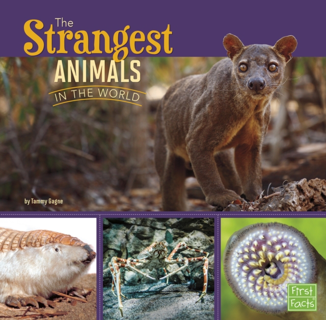 The Strangest Animals in the World, Hardback Book