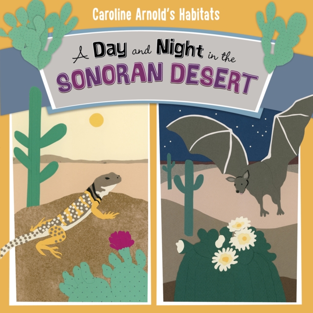 A Day and Night in the Sonoran Desert, Hardback Book