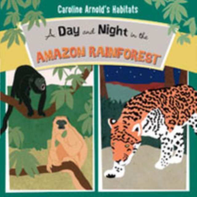 A Day and Night in the Amazon Rainforest, Paperback / softback Book