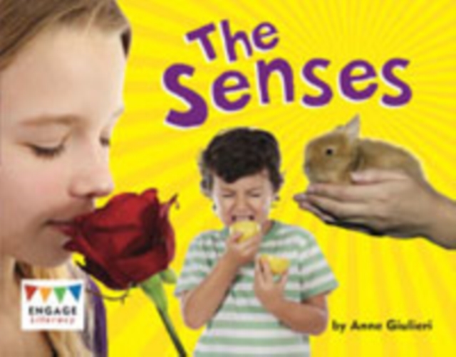 The Senses Pack of 6, Paperback Book