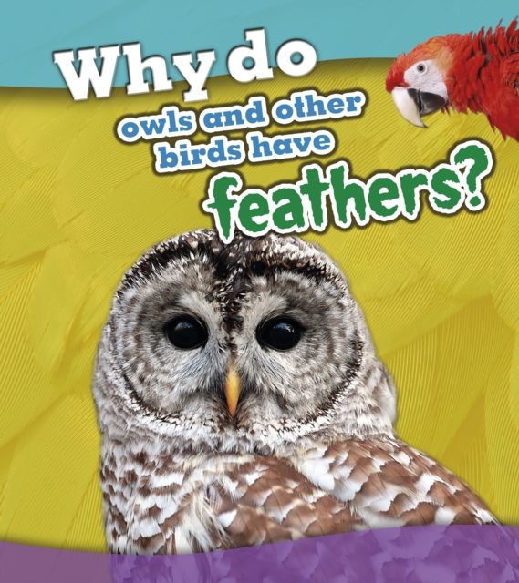 Why Do Owls and Other Birds Have Feathers?, Hardback Book