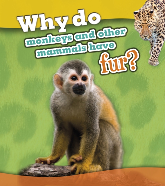 Why Do Monkeys and Other Mammals Have Fur?, Hardback Book
